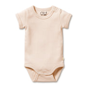 Wilson and Frenchy | Stripe Rib Bodysuit | Jack and Willow 
